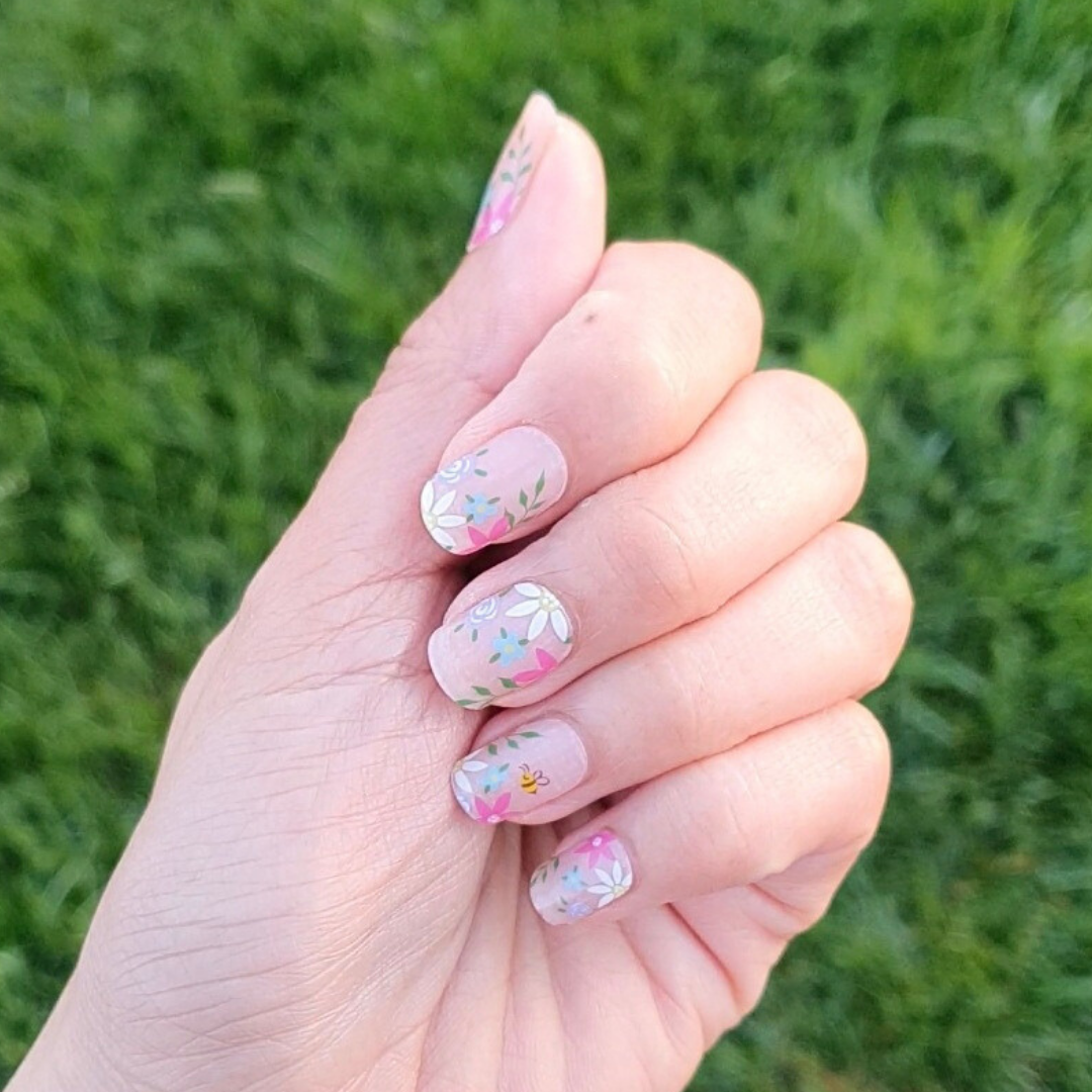 Sweet Daisy