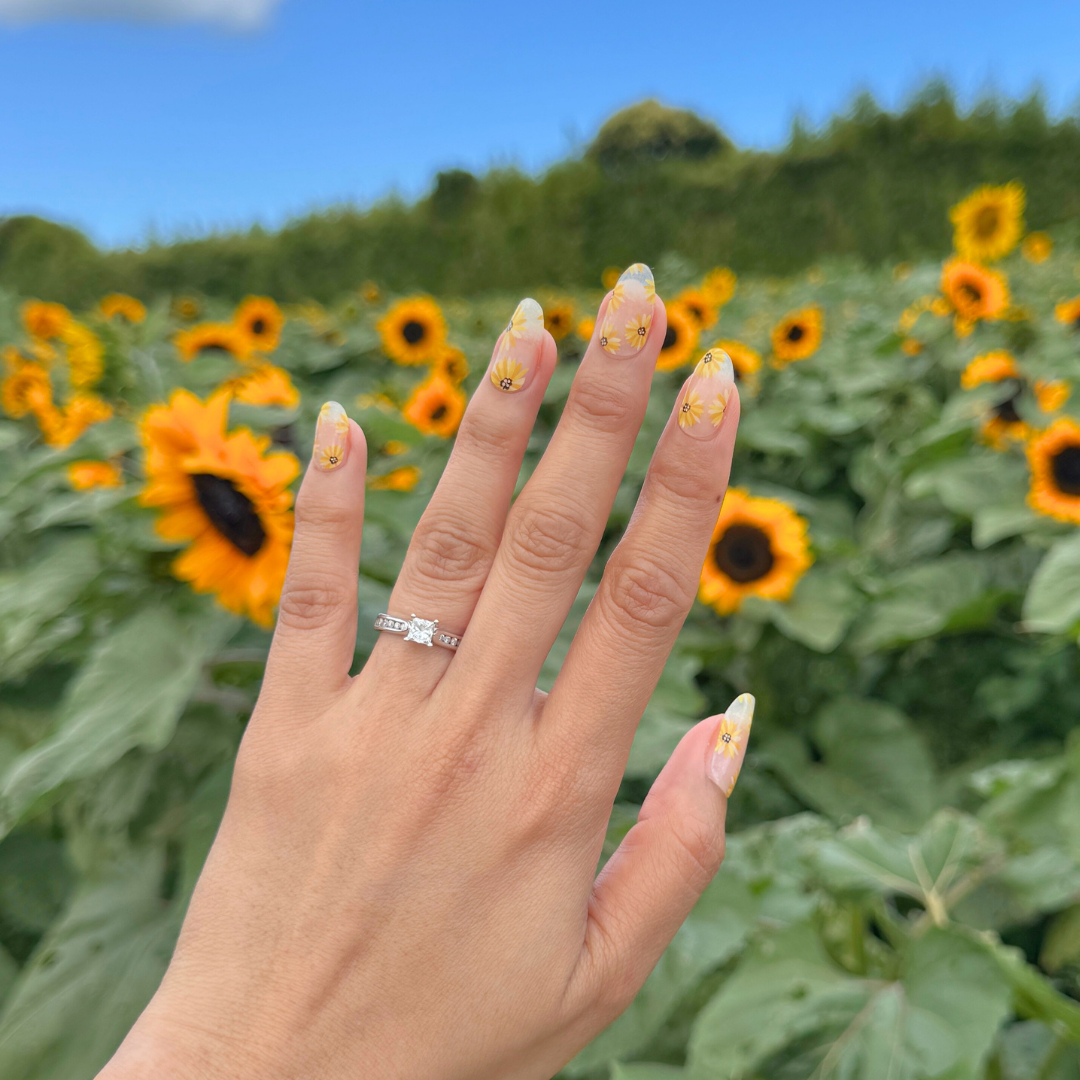 Sweet Sunflower
