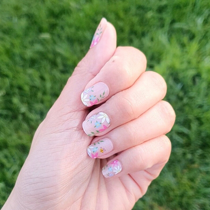 Sweet Daisy